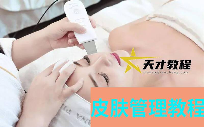 2022韩式皮肤管理课程日式美容院新面部护肤手法教学培训视频教程插图