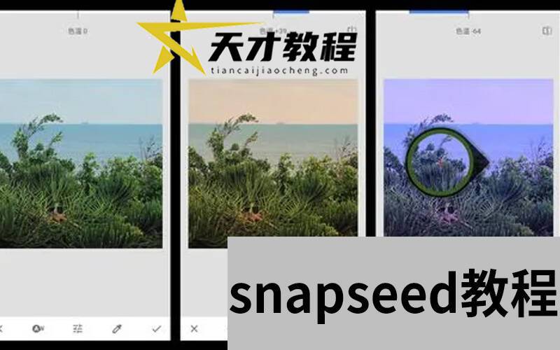 snapseed手机后期修图技巧课程P图拍照摄影风景图片处理视频教程插图