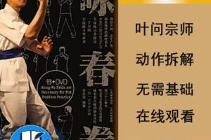 咏春视频教程武术自学专业视频教学从零基础入门精通教程全套高清