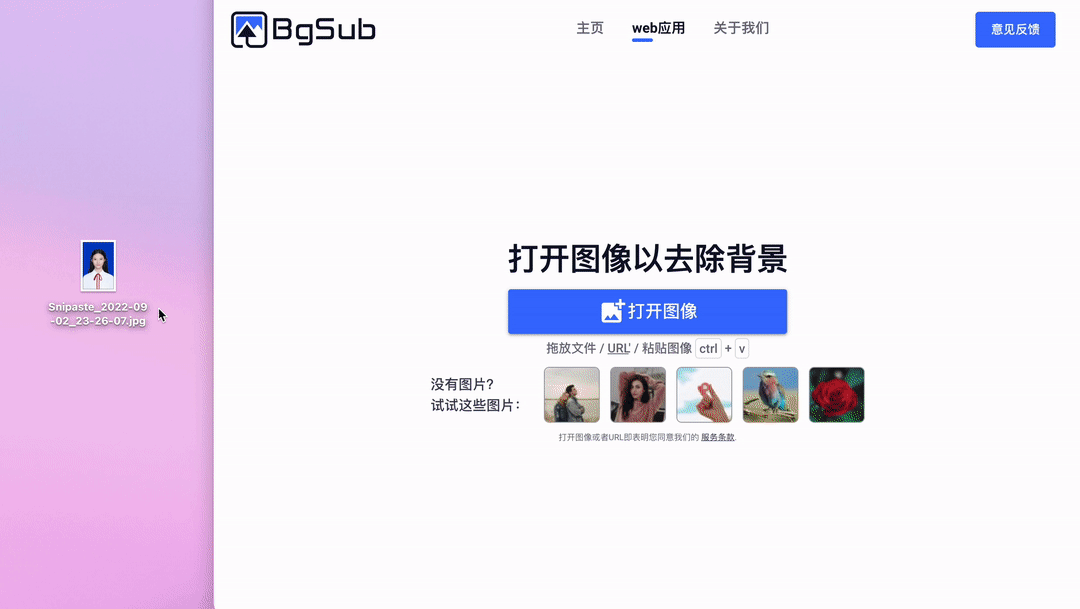 BgSub插图(1)