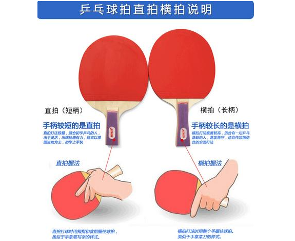 史上最全乒乓球24大技巧秘籍插图