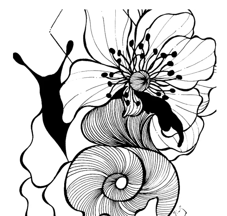 不会画画？线描插画教程，手把手教你如何画一只可爱的小蜗牛插图